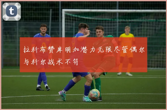 拉科布赞库明加潜力无限尽管偶尔与科尔战术不符
