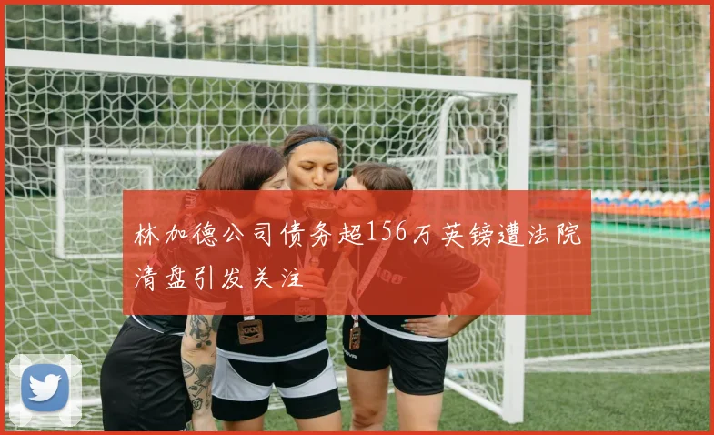 林加德公司债务超156万英镑遭法院清盘引发关注