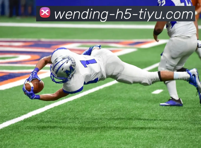 多媒体互动体验