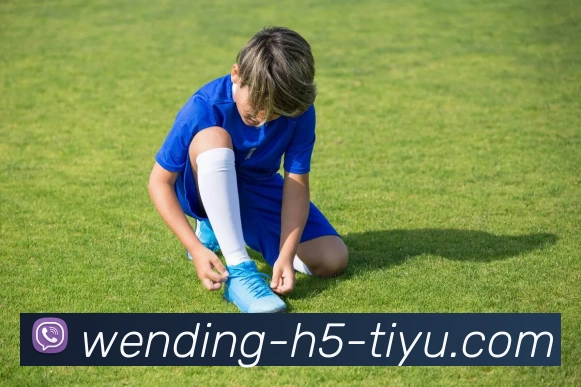 问鼎娱乐APP 高清赛事图